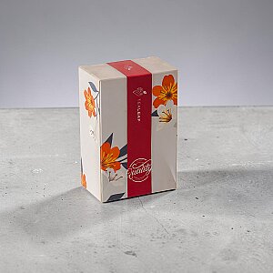 Tealeaf Bristrol Kutulu Meyve Çayı 100Gr - Elma